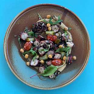 Grilled octopus*